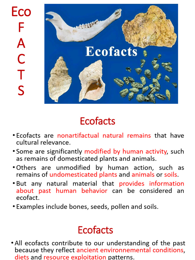 Understanding Ecofacts in Archaeology | PDF | Biology