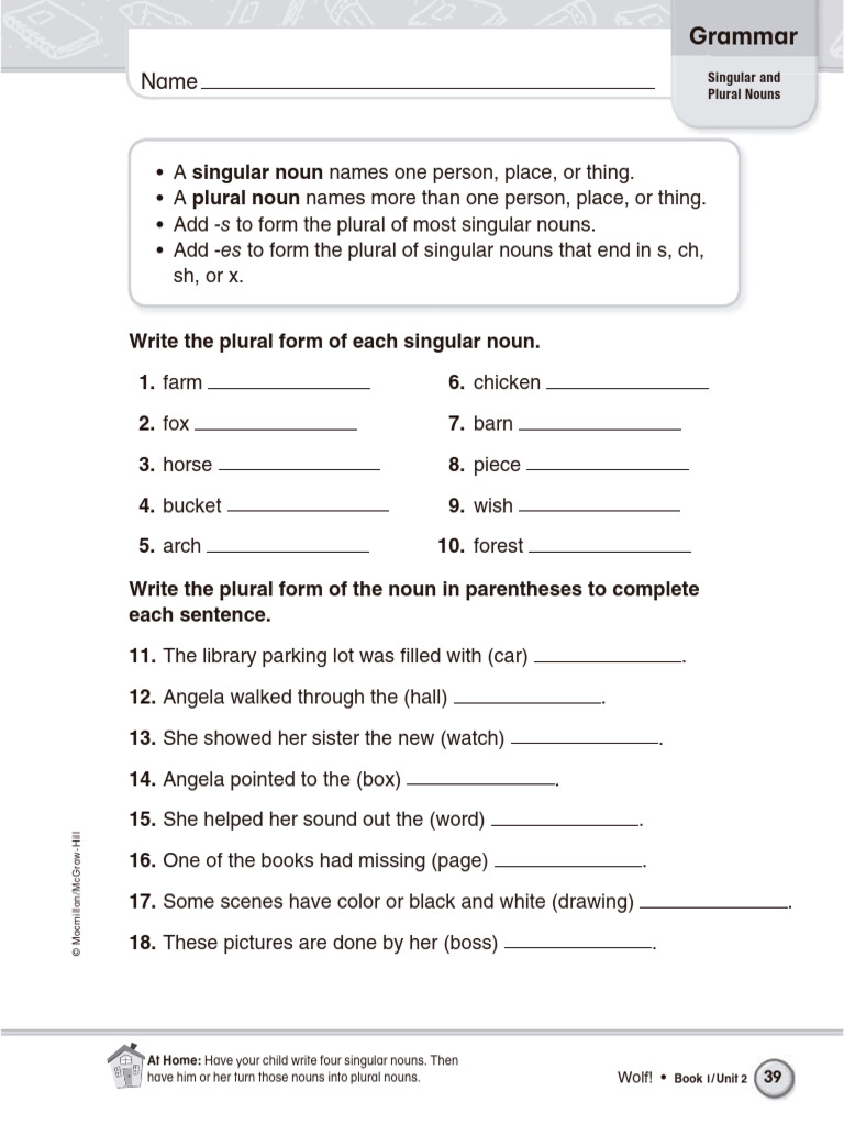Singular and Plural Nouns Guide | PDF | Plural | Noun