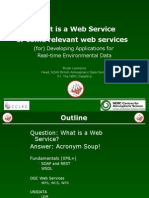 What Is A Web Service or Some Relevant Web Services: (For) Developing Applications For Real-Time Environmental Data