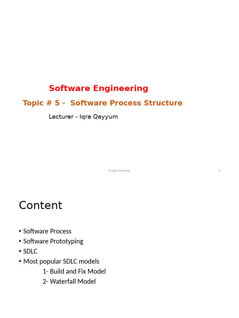 5 - Software Process Structure | PDF