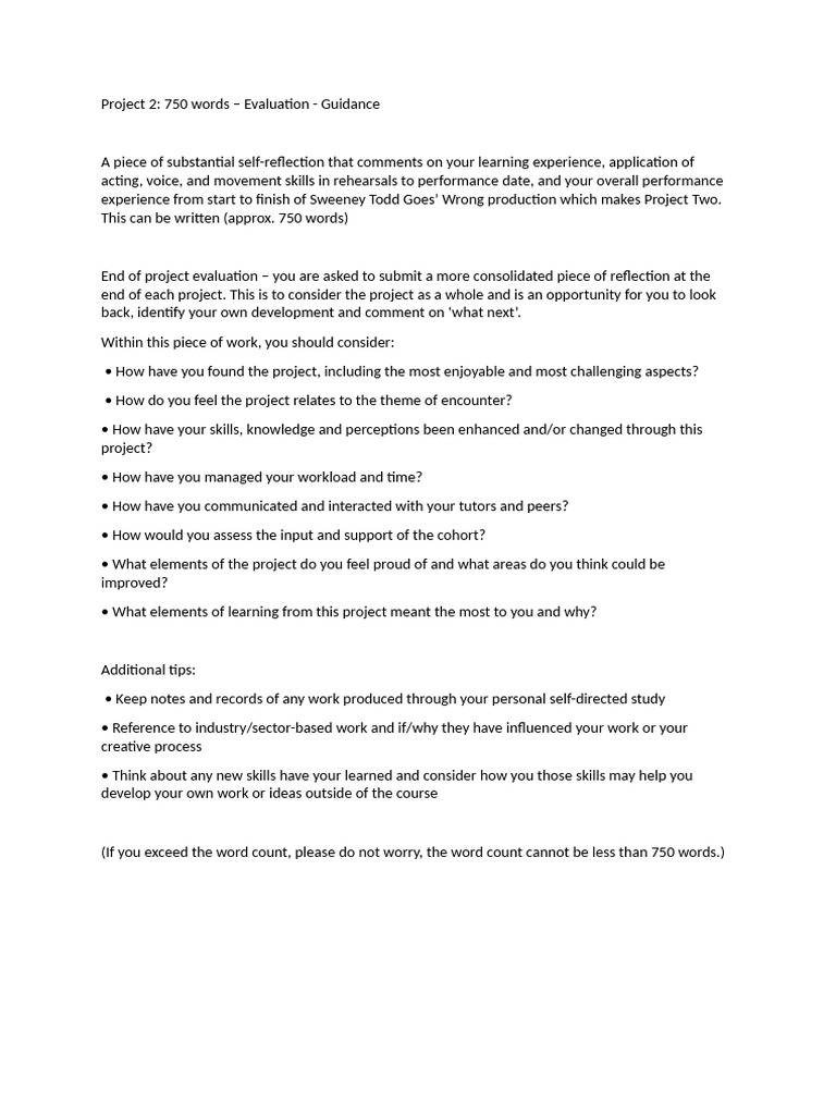 Project 2 - Evaluation Brief | PDF