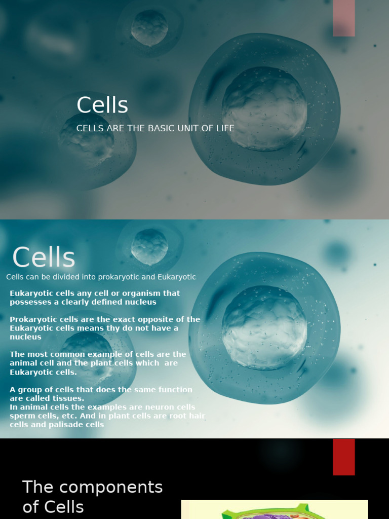 THE fair | PDF | Cell (Biology) | Ribosome