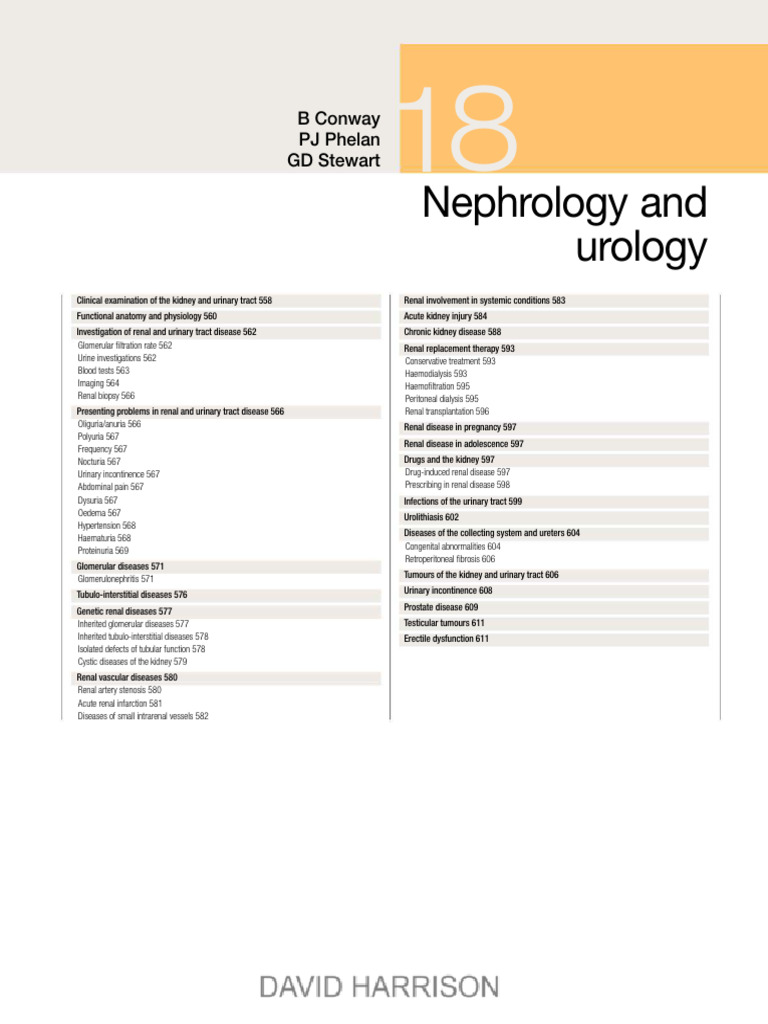 Comprehensive Guide to Renal Anatomy | PDF | Kidney | Angiotensin
