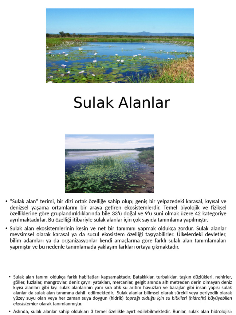 Sulak Alanlar | PDF