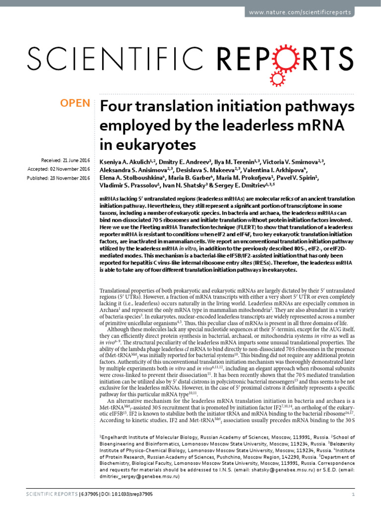 Four Translation Initiation Pathways by The Leaderless mRNA (Kseniya Et ...