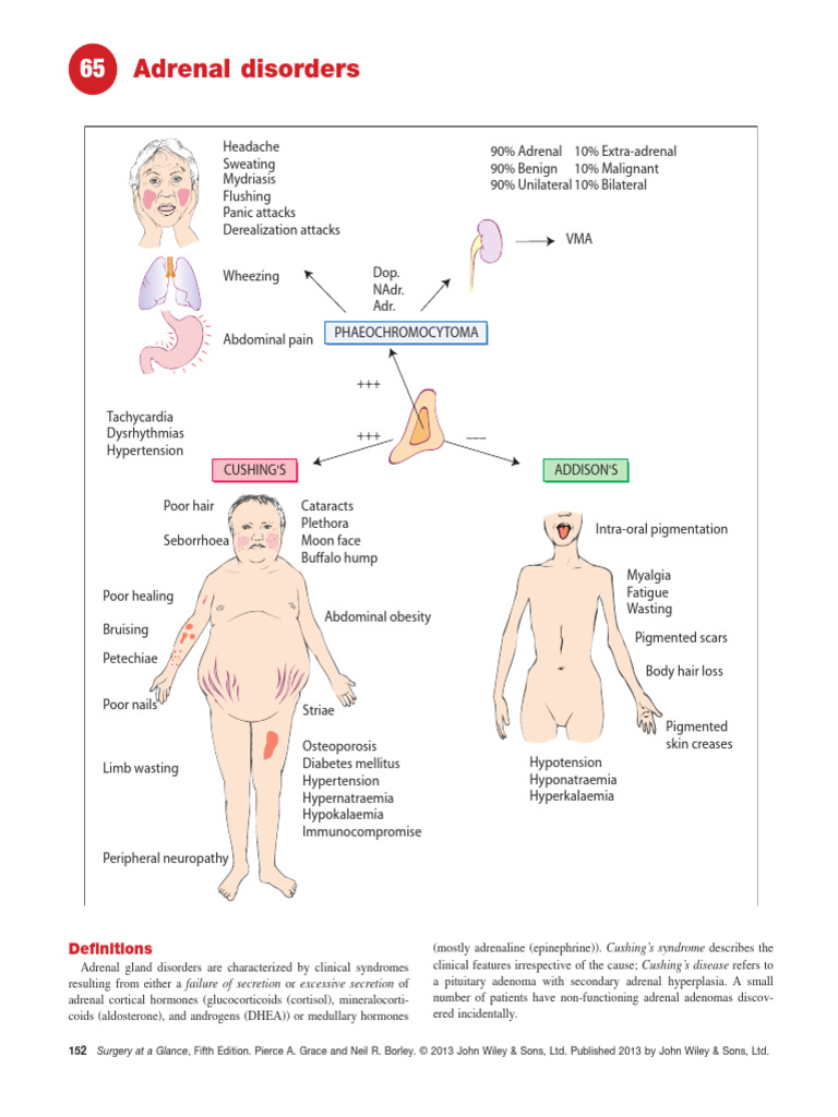 Adrenal Disorders: Symptoms and Treatment | PDF | Adrenal Gland ...