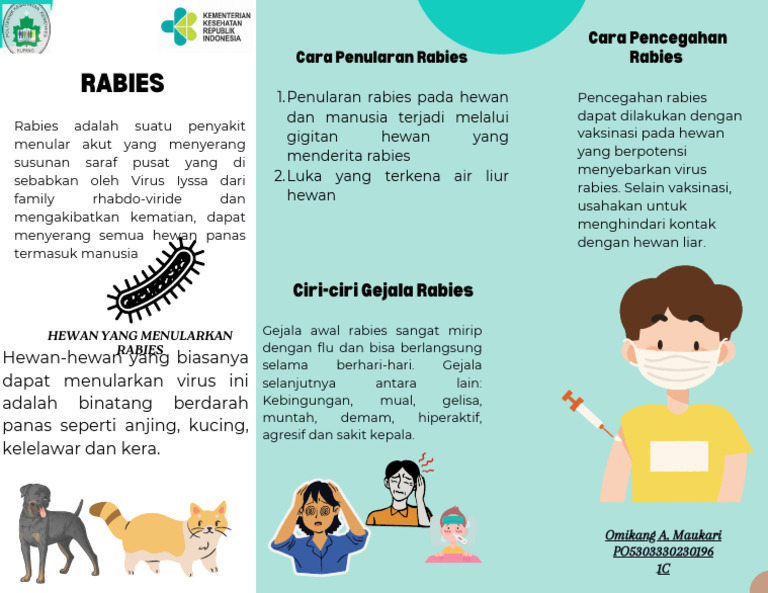 Penularan dan Pencegahan Rabies | PDF