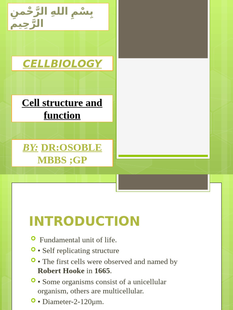 5 Cell Orgnells Structure & Function | PDF