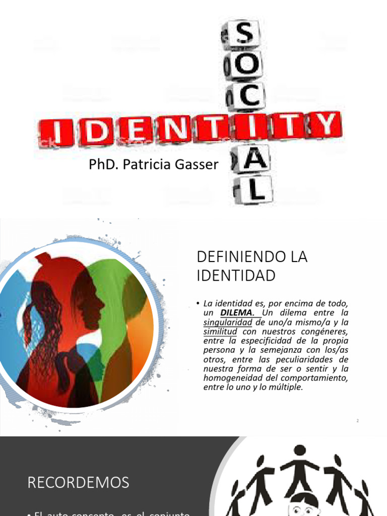 Definición y Teoría de la Identidad Social | PDF | Grupo social | Concepto