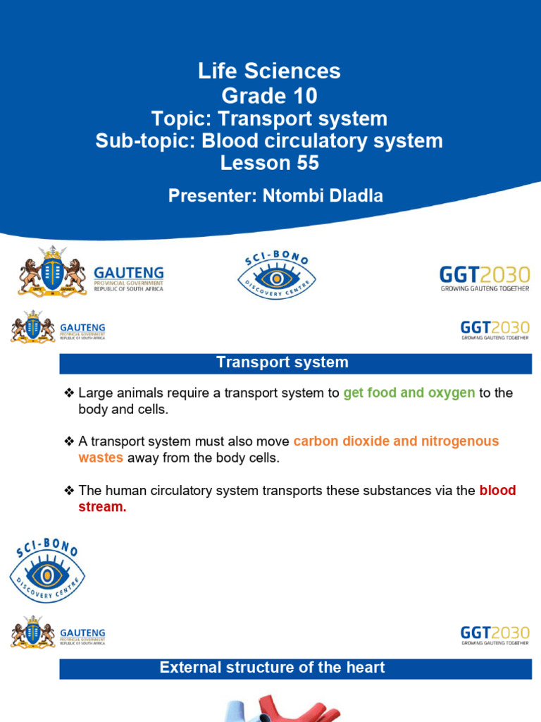 Life Sciences Gr.10 Lesson 55 Transport System Blood Circulation System ...