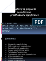 Anatomy of Gingiva and Um - Pros Tho Don Tic Significance