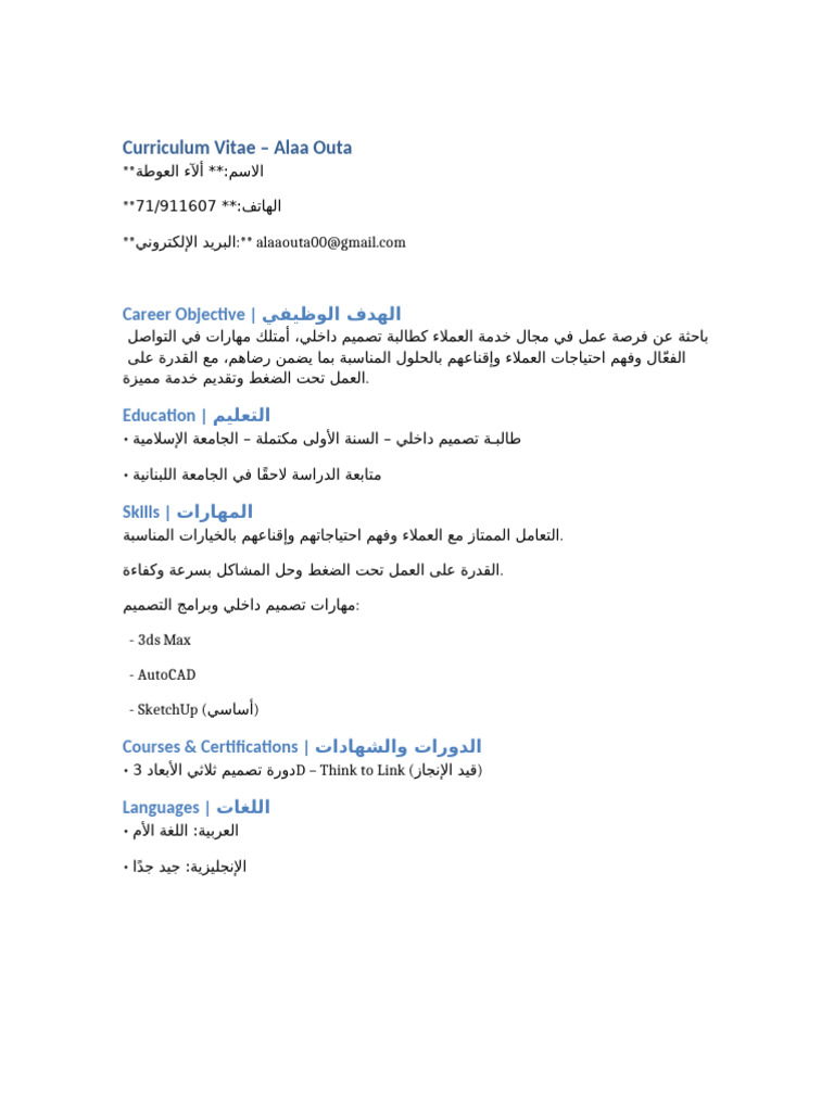 Alaa Outa CV | PDF