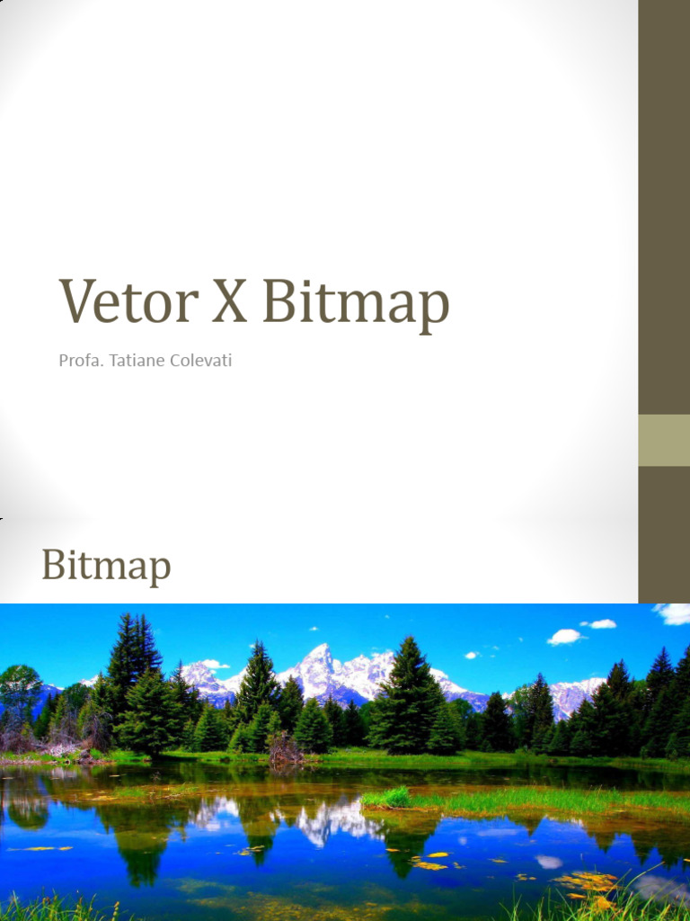 Diferenças entre Vetores e Bitmaps | PDF | Computação gráfica ...