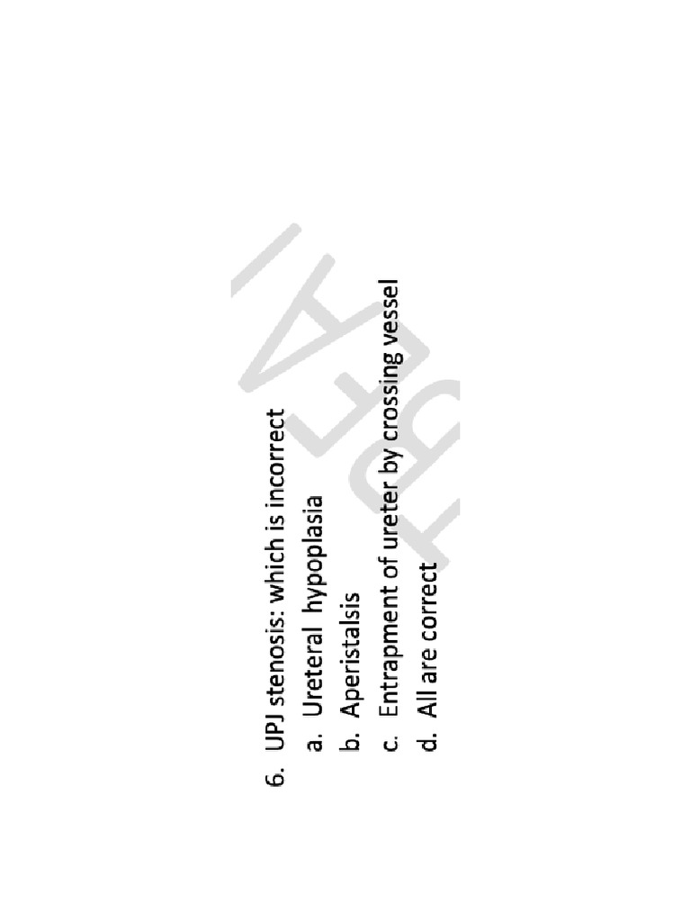 BNG | PDF