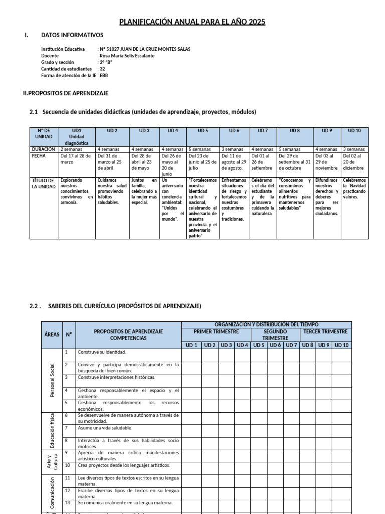Planificación Anual 2025 | PDF | Aprendizaje | Plan de estudios