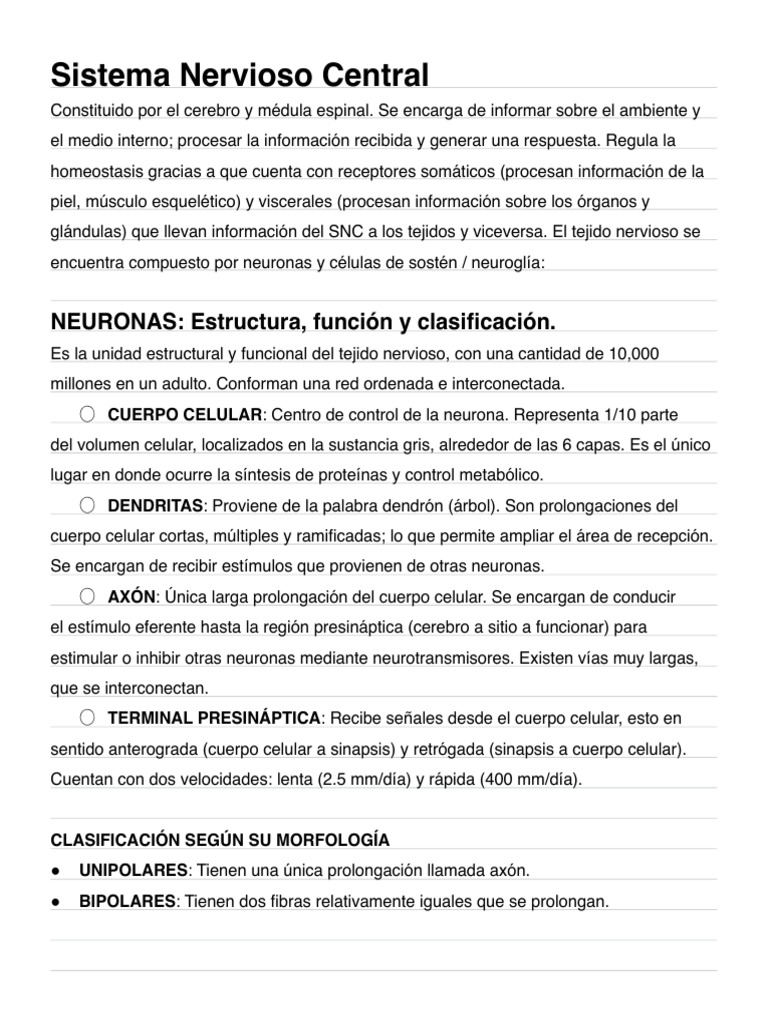 Estructura y Función del Sistema Nervioso | PDF | Sinapsis | Potencial ...