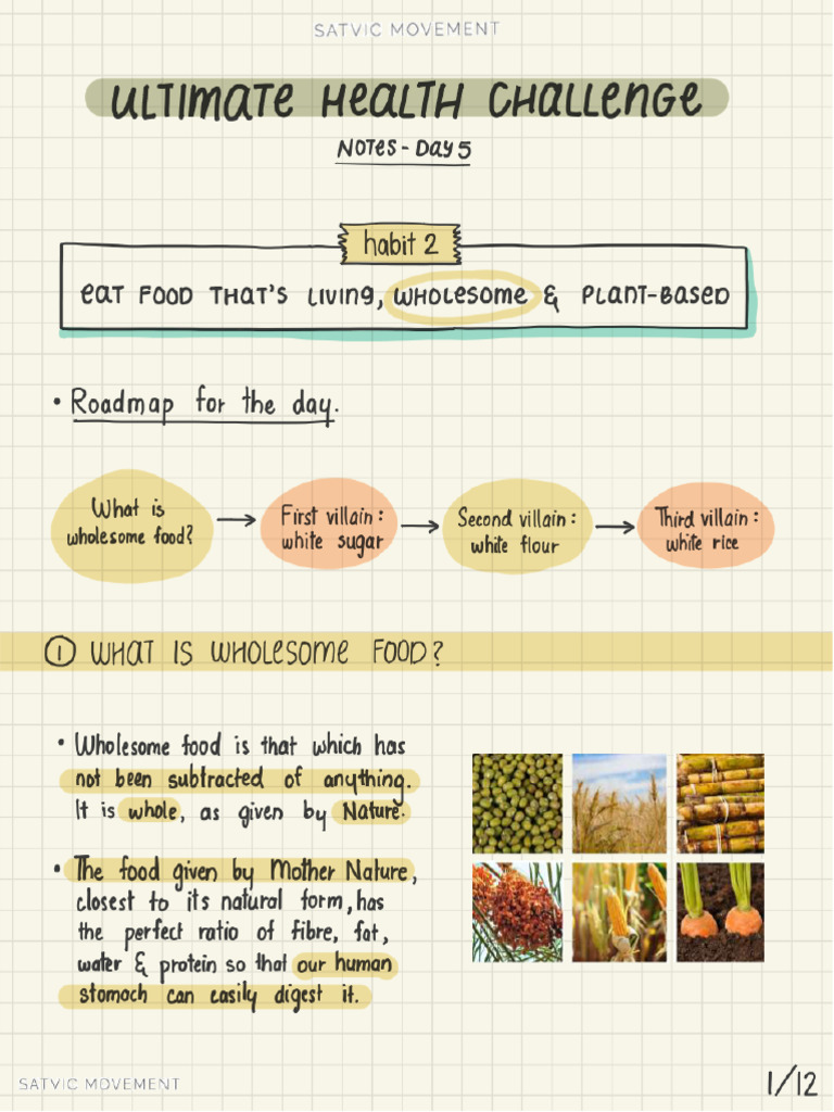 Day 5 Notes | PDF