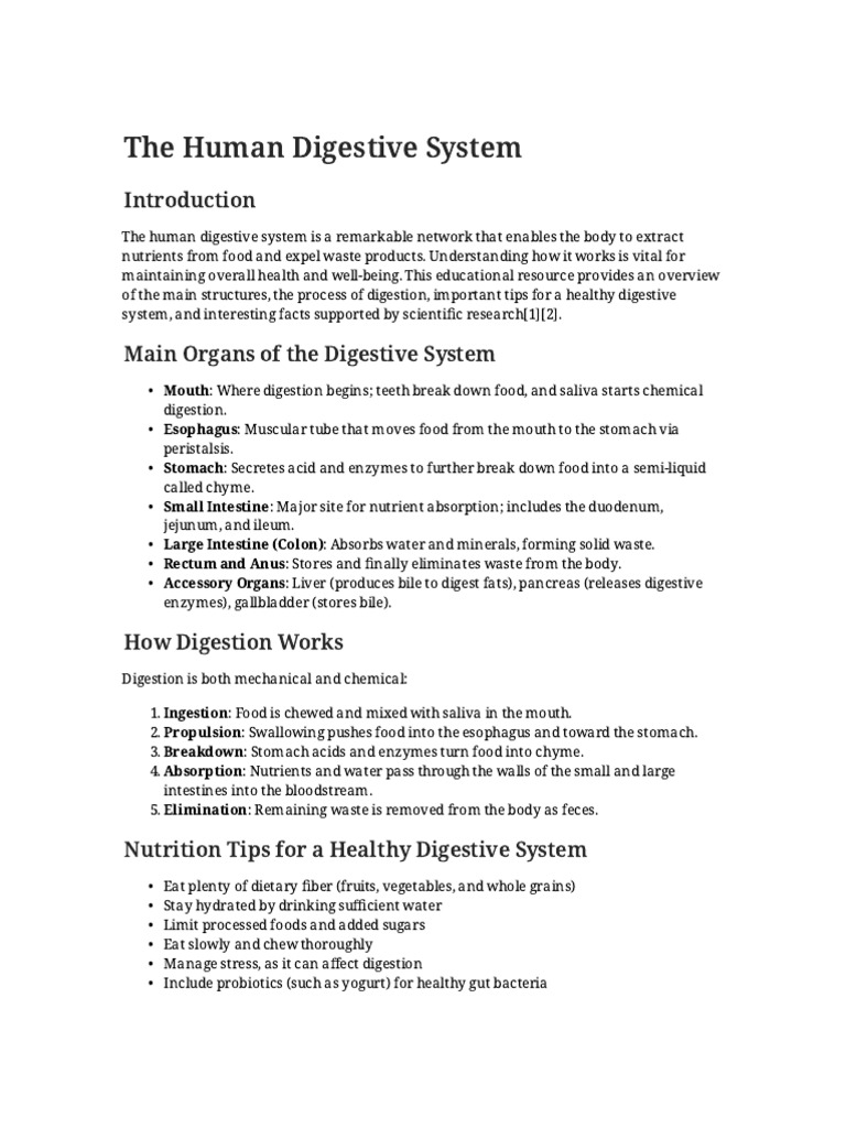 Human Digestive System | PDF | Human Digestive System | Digestion