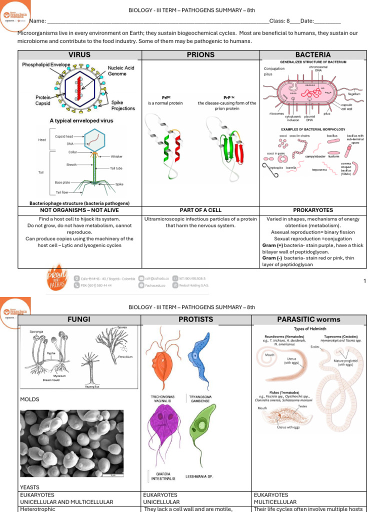 Summary Pathogens 8th | PDF | Bacteria | Pathogen