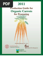 Download Carrot by Darxidedj Fiji SN95401493 doc pdf