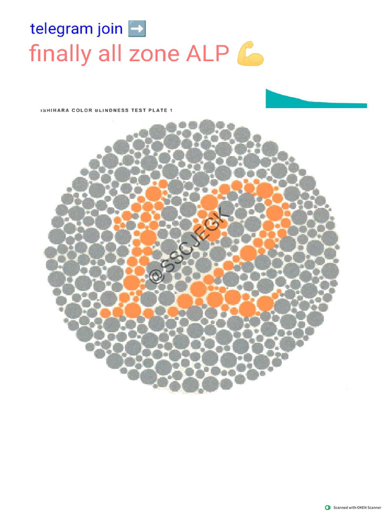 Colour Blind | PDF