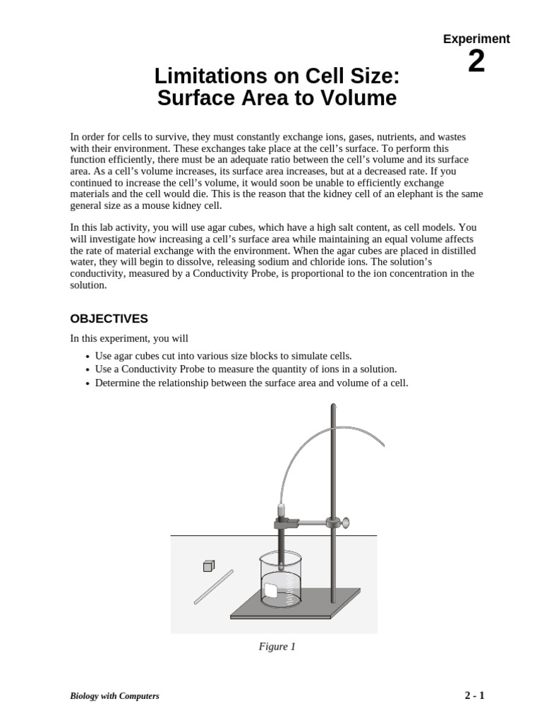 02 Limits on Cell Size | PDF | Volume | Area