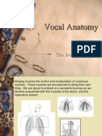 Vocal Anatomy: The Journey Begins