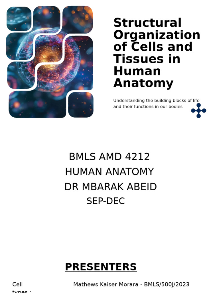 CELLS AND TISSUES IN HUMAN ANATOMY- GROUP 2 PRESENTATION_20251117 ...