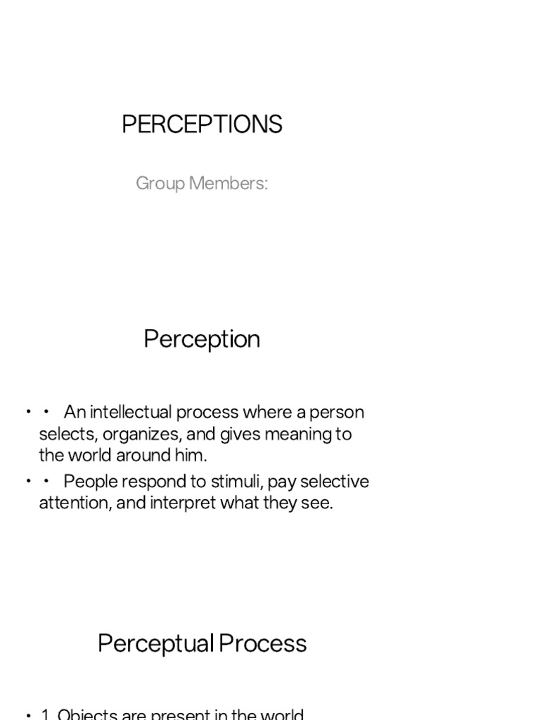 Understanding Perception Processes | PDF