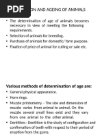 Aging Cattle by Dentition Guide | PDF | Tooth | Dentistry
