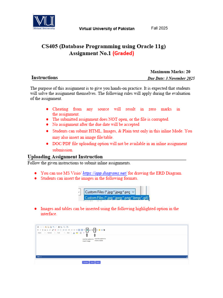 CS405 Oracle Database Assignment 2025 | PDF | Computing | Databases
