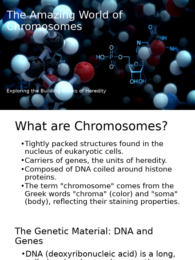 Understanding Chromosomes and Genetics | PDF | Chromosome | Ploidy