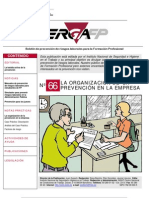 organizacion prevencion empresa