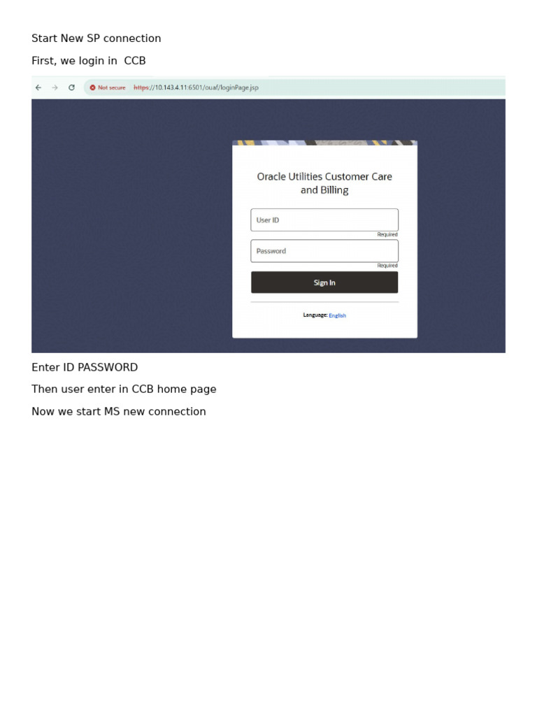 Step-by-Step Guide to New SP Connection | PDF