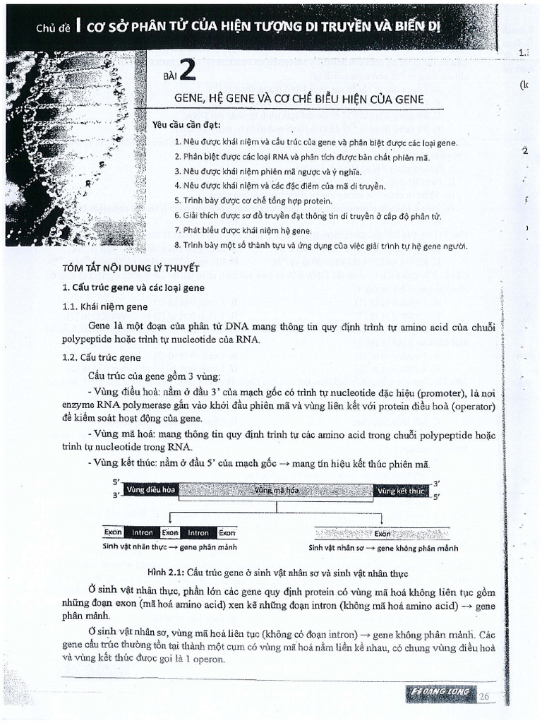 Bài 2 - SH L P 12 - (LT+BT) | PDF