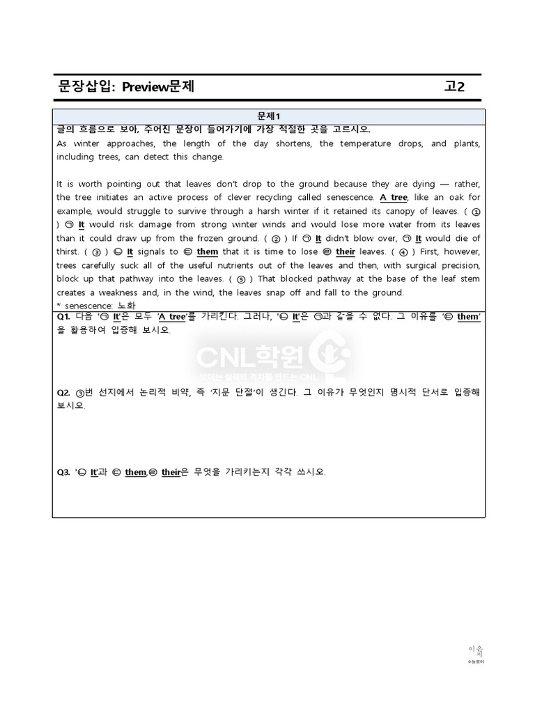 문장 삽입 문제 풀이 안내 | PDF | Leaf | Facial Expression