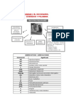 Diccionario Cognados y Polisemia