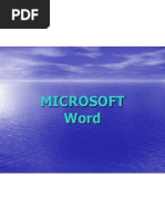 MS-WORD