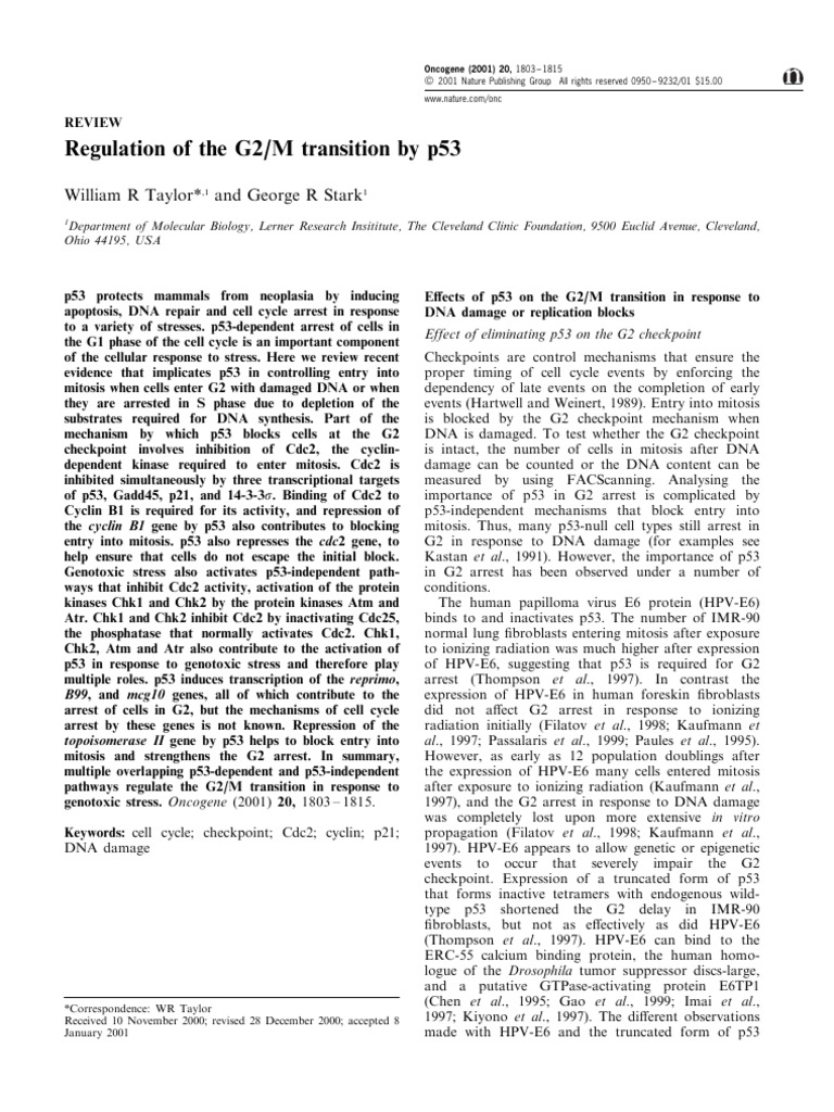 3 Regulation of The G2M Transition by p53 | PDF | P53 | Cell Cycle