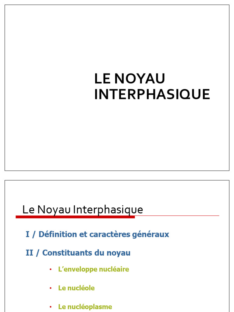 Caractéristiques du noyau interphasique | PDF | Noyau (biologie ...