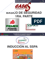 Basico de Seguridad I