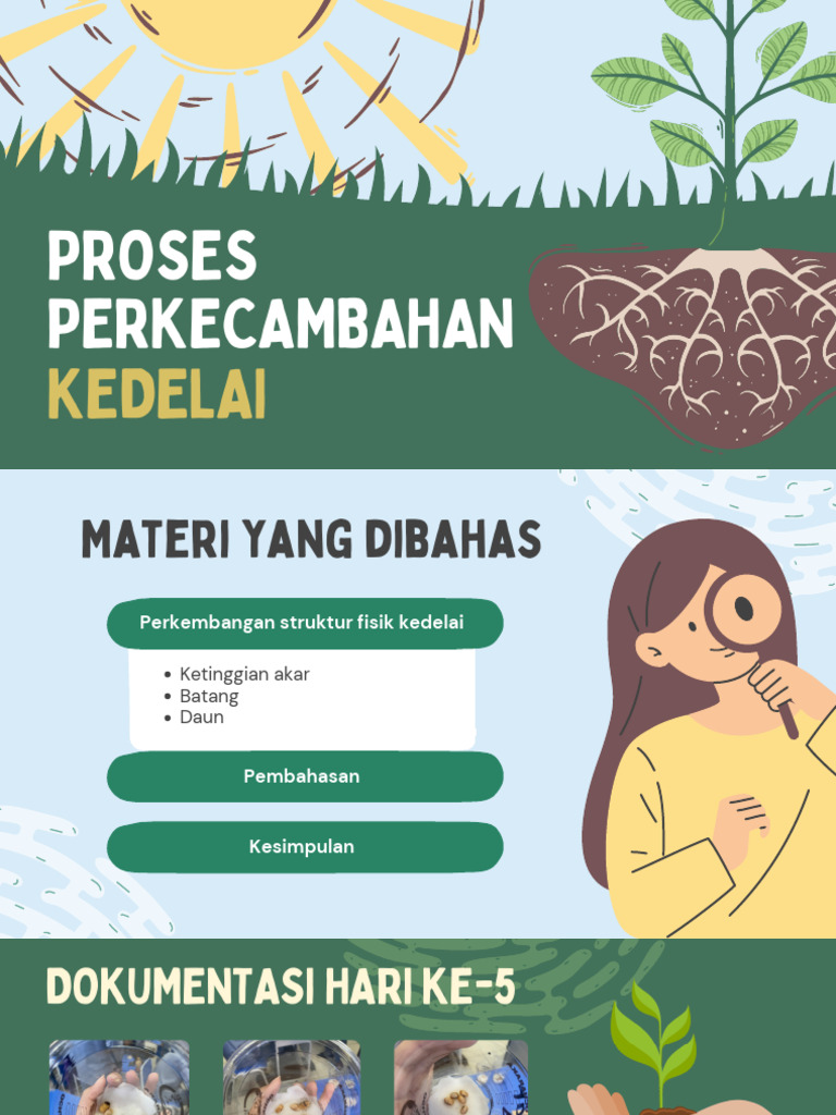 The Process of Photosynthesis Education Presentation in Green Style ...