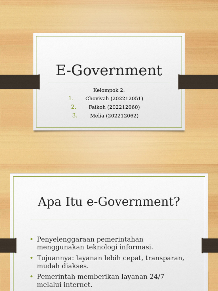 E Government (1) | PDF