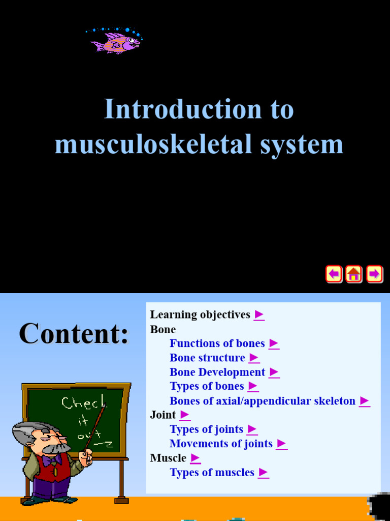 Musculoskeletal System Overview | PDF | Bone | Anatomical Terms Of Motion