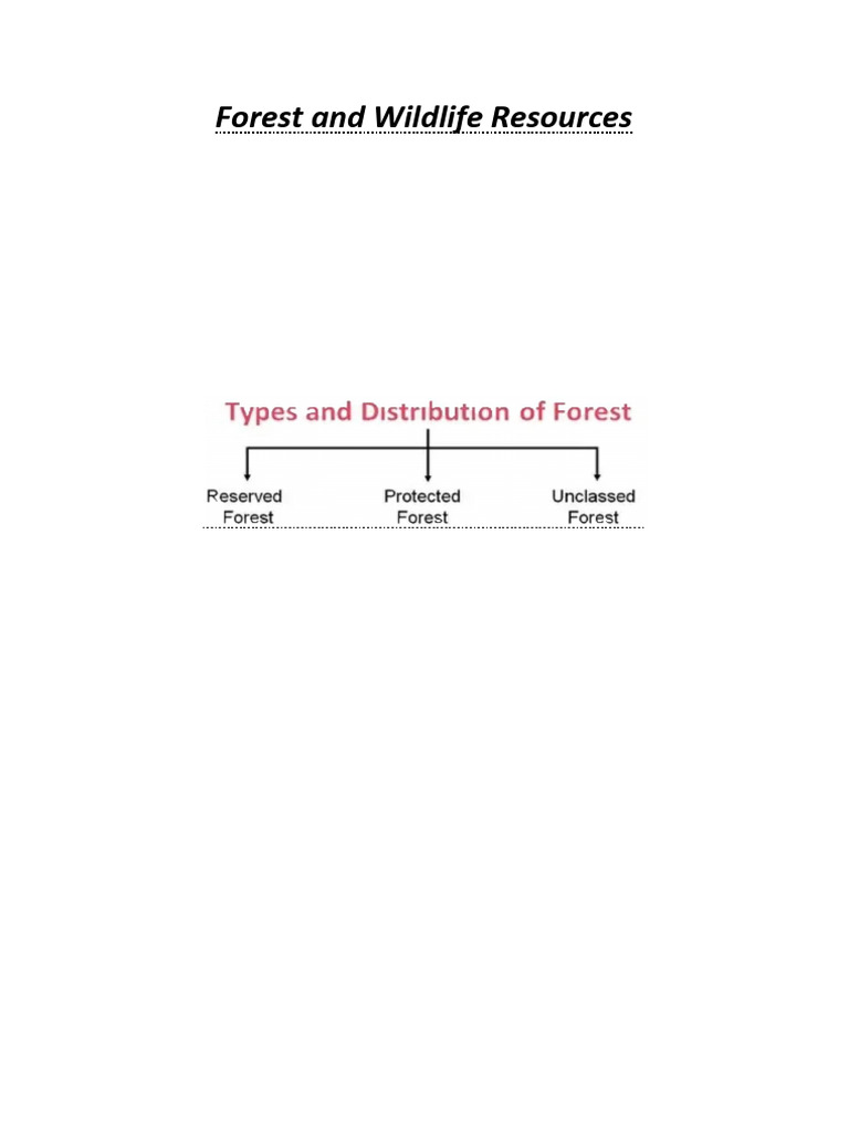 Forest and Wildlife Resources | PDF | Forests | Endangered Species