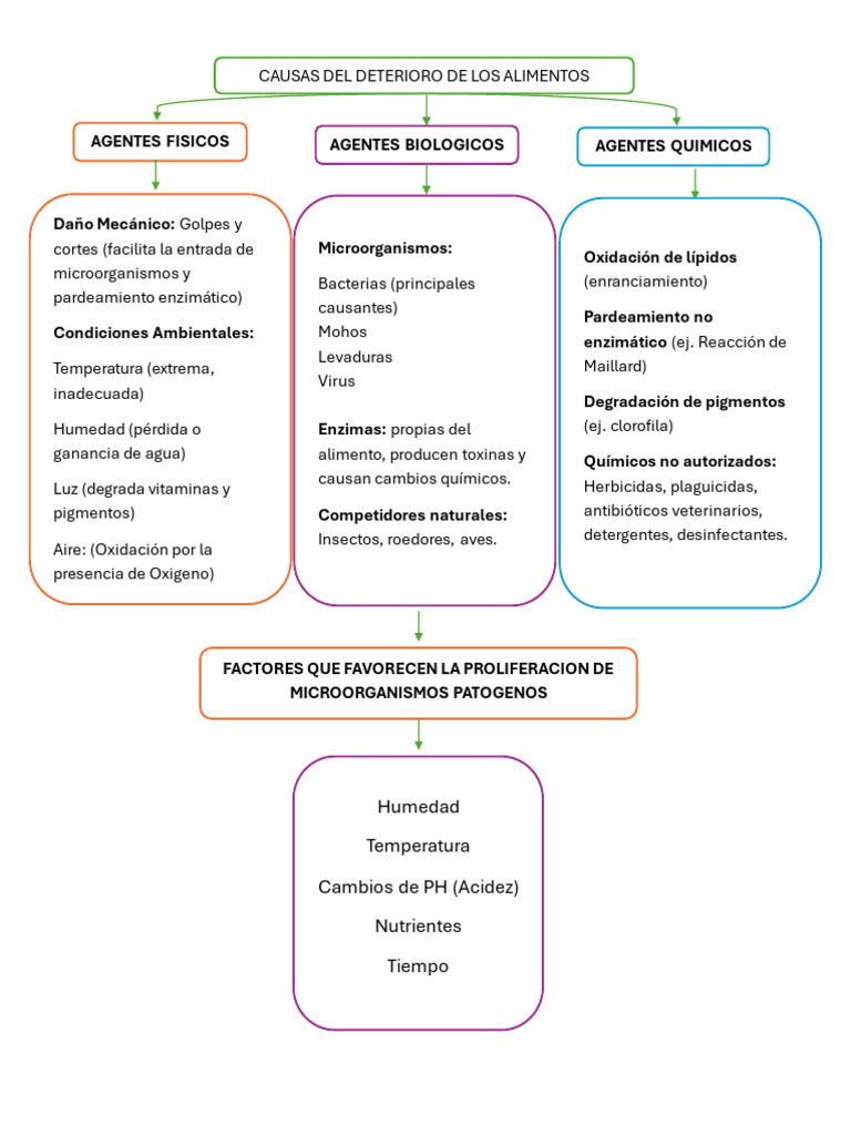 Causas del Deterioro de Alimentos | PDF
