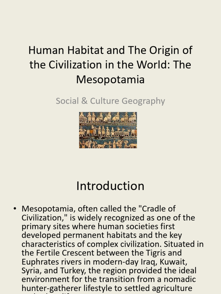 Mesopotamia: Cradle of Civilization Insights | PDF | Mesopotamia | River