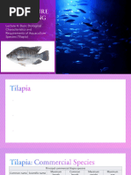 Nile Tilapia Life Cycle & Reproduction | PDF | Egg | Spawn (Biology)