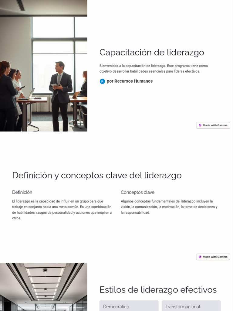 Capacitación en Habilidades de Liderazgo | PDF | Liderazgo | Toma de ...