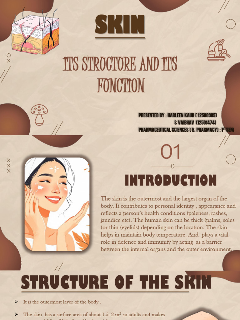 Structure and Function of Human Skin | PDF | Skin | Epidermis